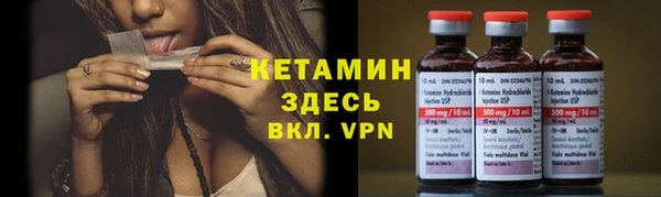 шишки Алексин