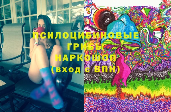 шишки Алексин