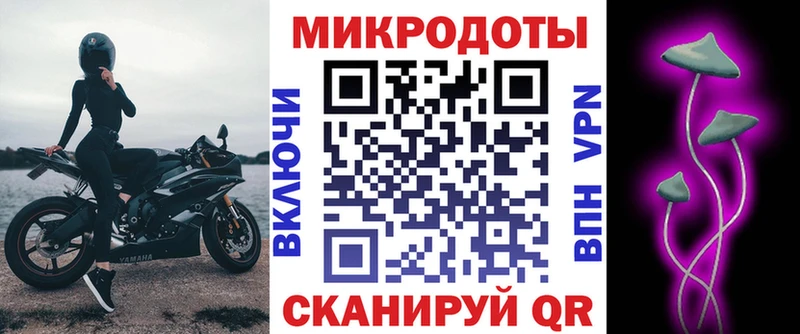 Галлюциногенные грибы Cubensis  закладка  Бологое 